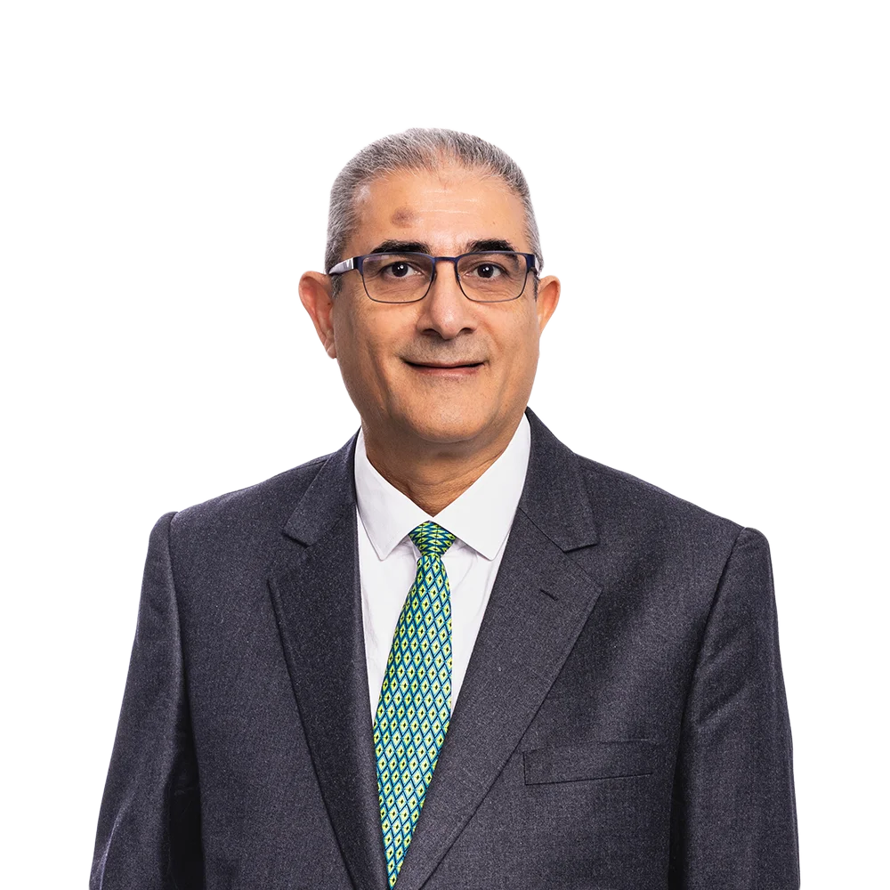 Bashar Hussien Vista Projects