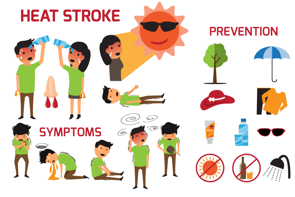 heat stroke infographic