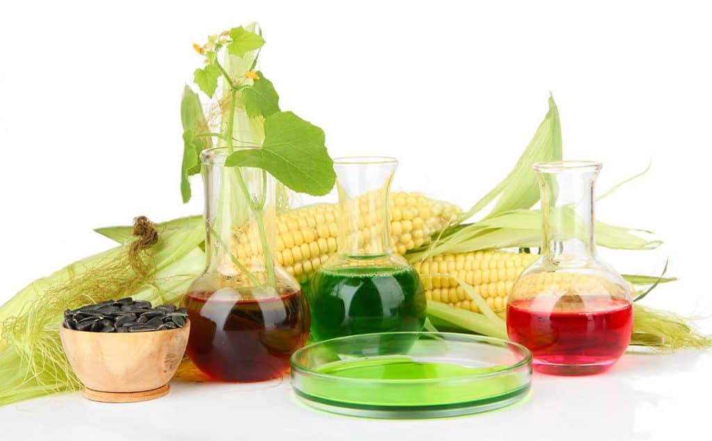 Biomass and Biofuel Advantages and Disadvantages