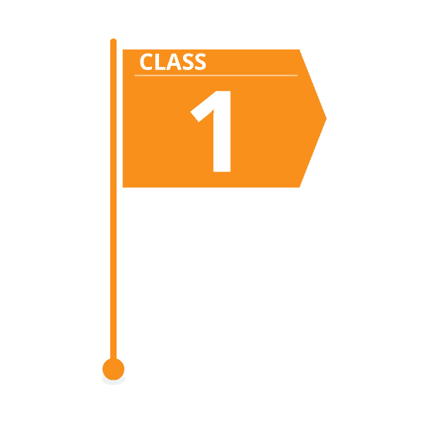 class 1 estimate flag