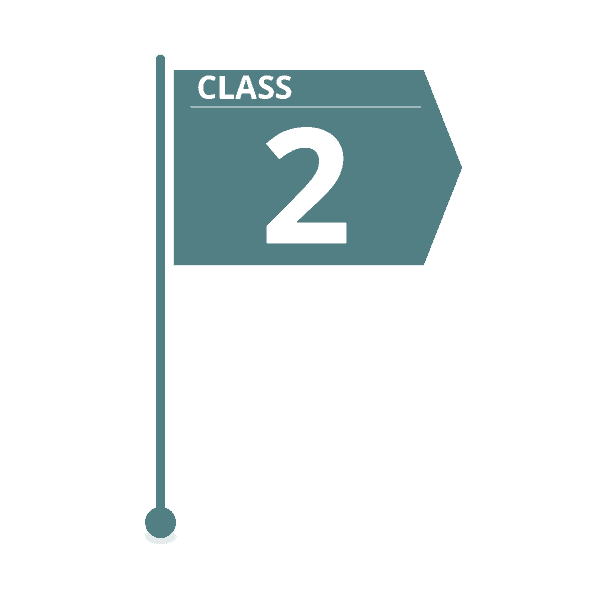 class 2 estimate flag