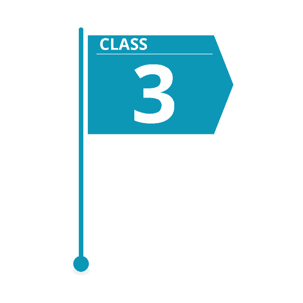 class 3 estimate flag