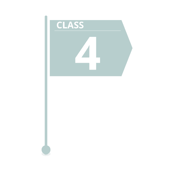 class 4 estimate flag