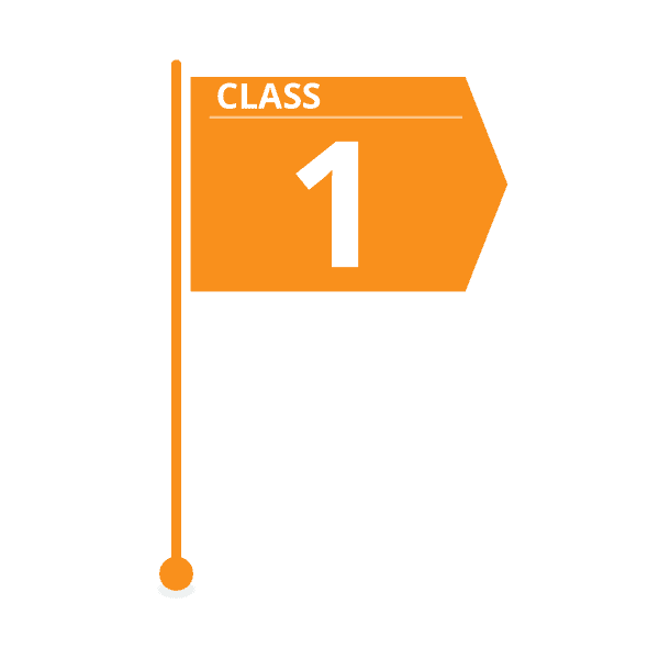 class 1 estimate flag