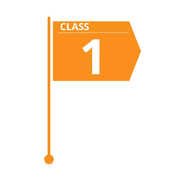 class 1 estimate flag