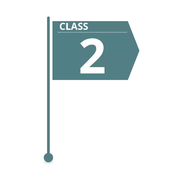 class 2 estimate flag