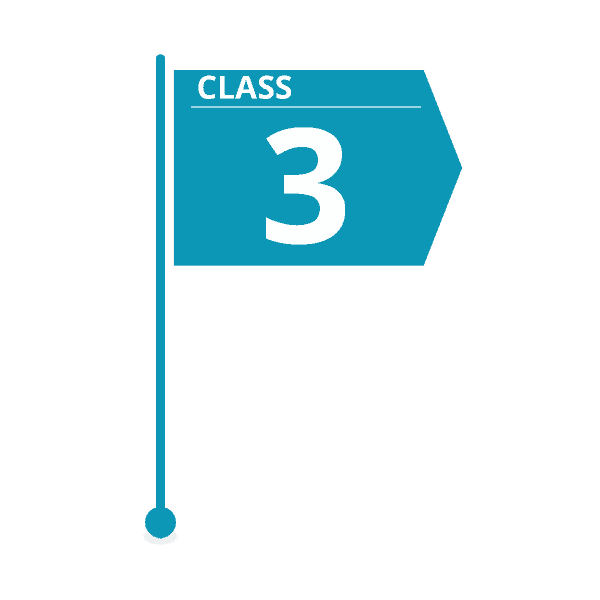 class 3 estimate flag