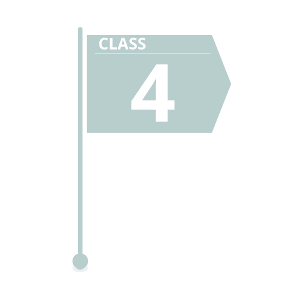 class 4 estimate flag