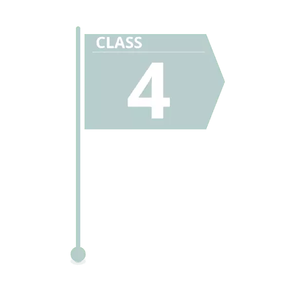 class 4 estimate flag