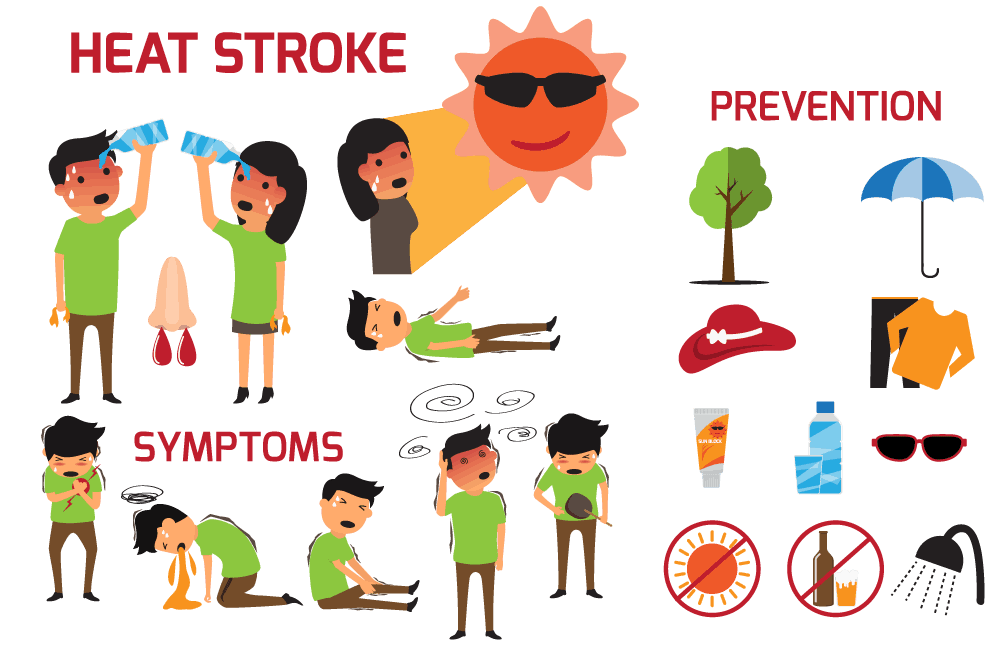 heat stroke infographic