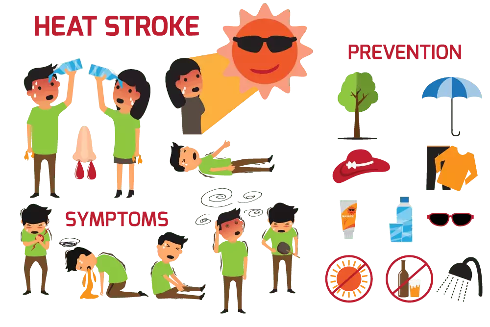 heat stroke infographic