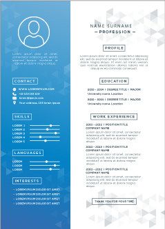 professional resume