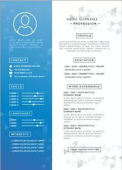 professional resume