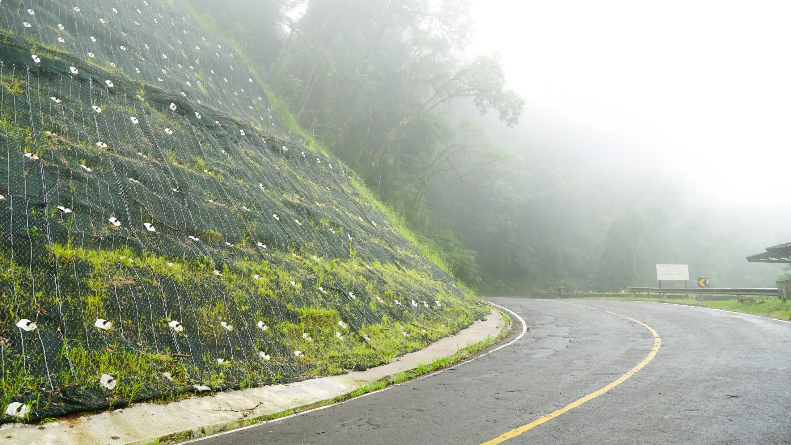 Geosynthetic mesh with anchor plates stabilising a vegetated roadside slope alongside a curved highway in foggy conditions